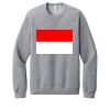 Unisex Sponge Fleece Raglan Sweatshirt Thumbnail