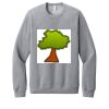 Unisex Sponge Fleece Raglan Sweatshirt Thumbnail