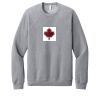 Unisex Sponge Fleece Raglan Sweatshirt Thumbnail