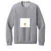 Unisex Sponge Fleece Raglan Sweatshirt Thumbnail