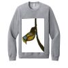 Unisex Sponge Fleece Raglan Sweatshirt Thumbnail