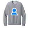 Unisex Sponge Fleece Raglan Sweatshirt Thumbnail