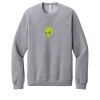 Unisex Sponge Fleece Raglan Sweatshirt Thumbnail