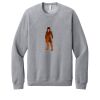 Unisex Sponge Fleece Raglan Sweatshirt Thumbnail