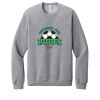Unisex Sponge Fleece Raglan Sweatshirt Thumbnail